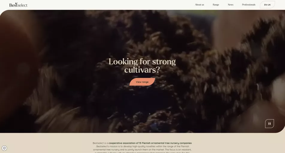 A screenshot of the homepage of BestSelect